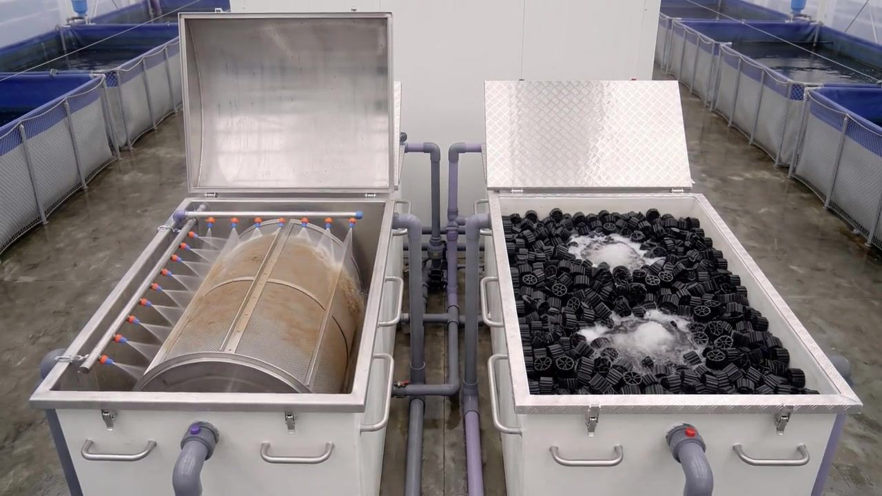 Filtre tambour et biofiltre garni de supports bactériens, en salle d'élevage