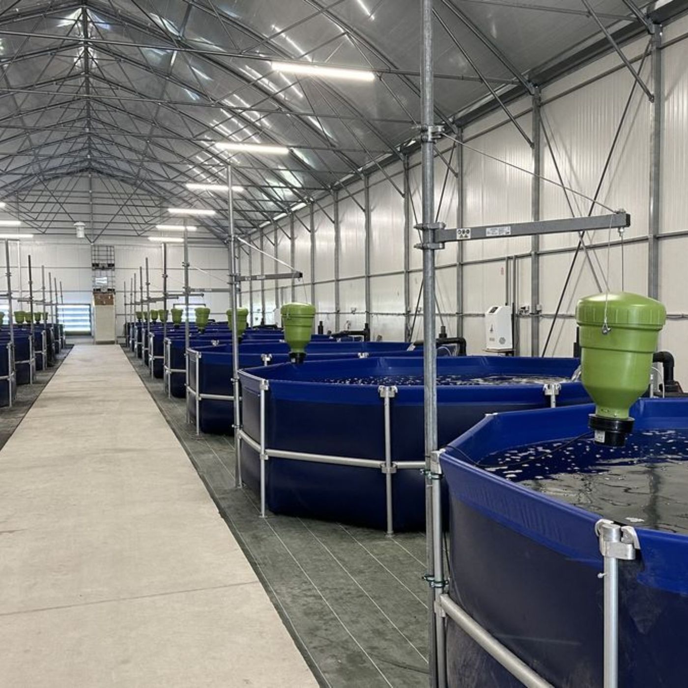 Bassins d'élevage alignés dans un hall piscicole aquaponique