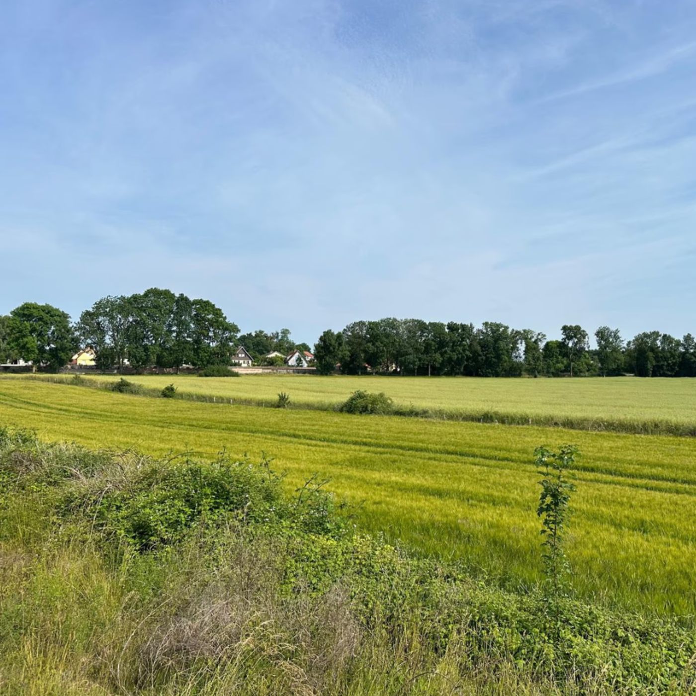 Le terrain de la future ferme, à Vic-sur-Seille