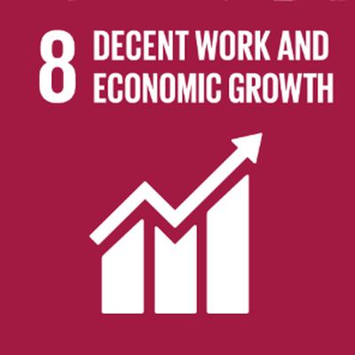 Objectif de développement durable 8 : Decent Work and Economic Growth