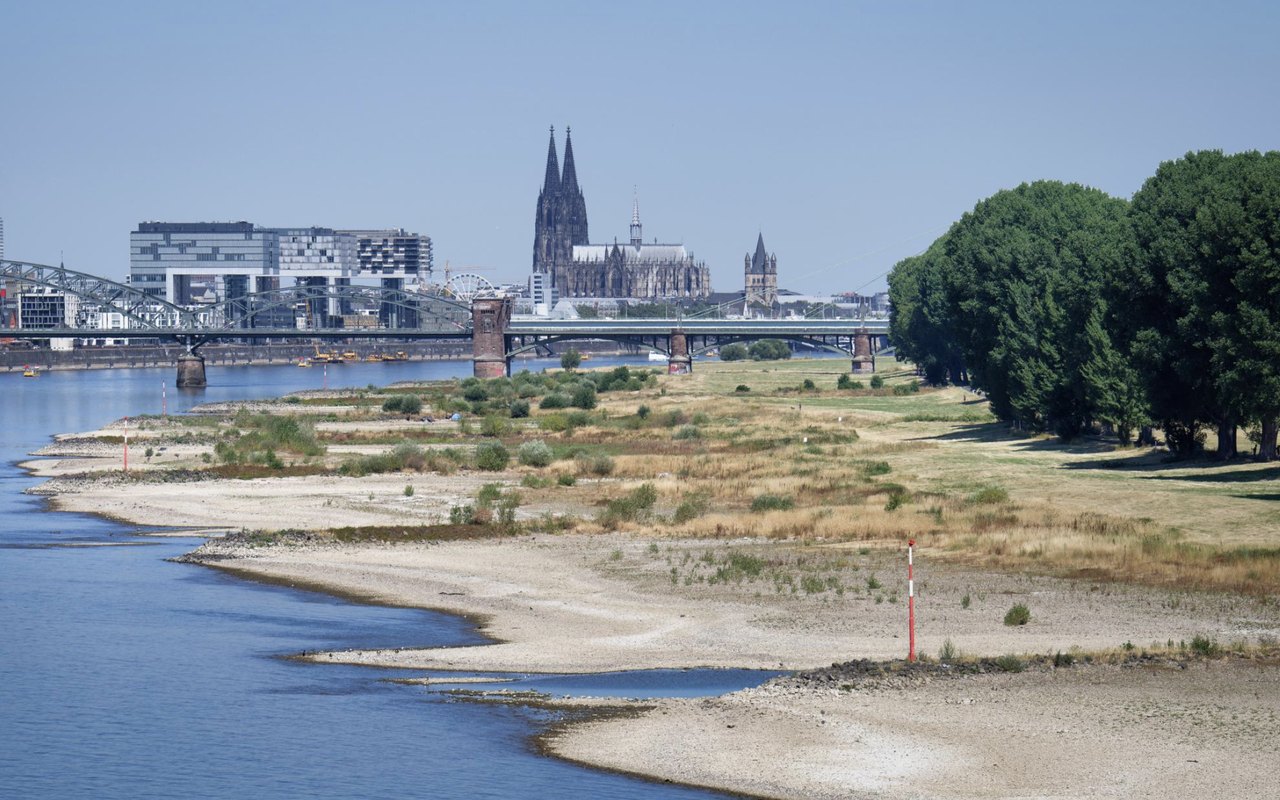Le Rhin à Cologne, lit asséché et bancs de sable découverts
