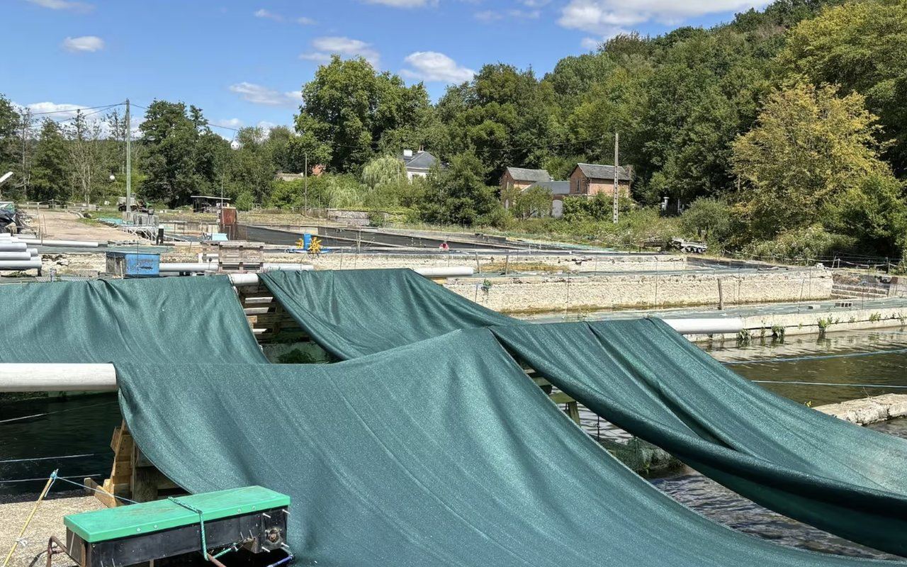 Bassins de pisciculture recouverts d'ombrières pour protéger les truites de la chaleur