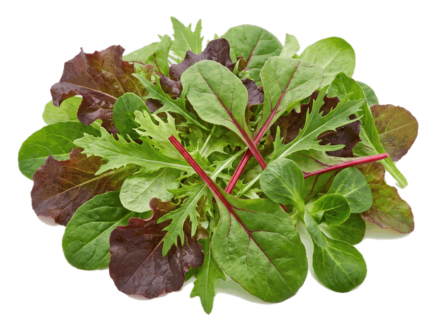 Mesclun
