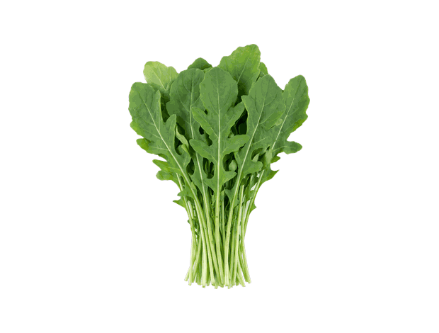 Roquette