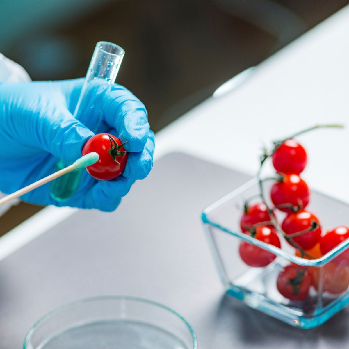 Analyse en laboratoire de résidus sur des tomates